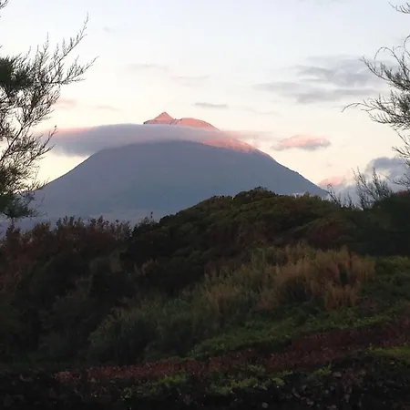 Casa Da Costa Ferienhaus Madalena (Azores)