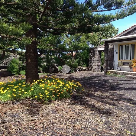 Casa Da Costa